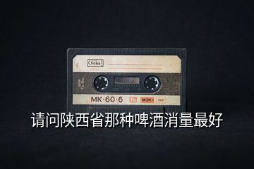 請問陜西省那種啤酒消量最好