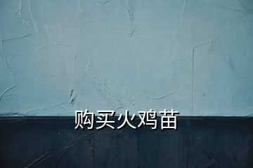 購(gòu)買火雞苗