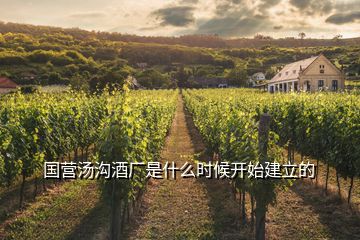 國(guó)營(yíng)湯溝酒廠是什么時(shí)候開(kāi)始建立的