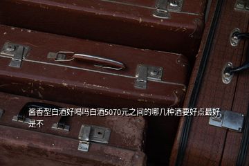 醬香型白酒好喝嗎白酒5070元之間的哪幾種酒要好點最好是不