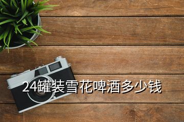 24罐裝雪花啤酒多少錢(qián)