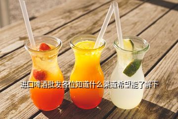 進(jìn)口啤酒批發(fā)各位知道什么渠道希望能了解下