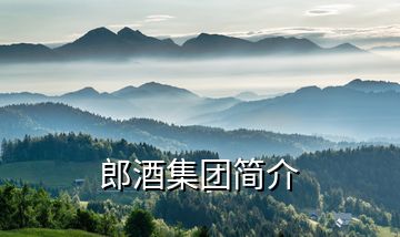 郎酒集團(tuán)簡介