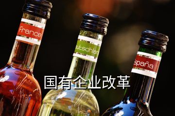國(guó)有企業(yè)改革
