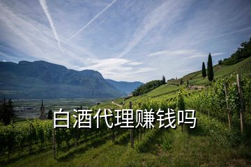 白酒代理賺錢嗎
