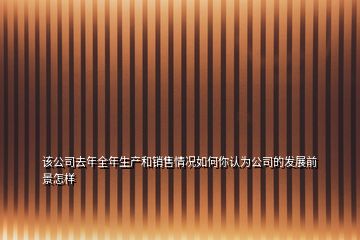 該公司去年全年生產(chǎn)和銷售情況如何你認為公司的發(fā)展前景怎樣
