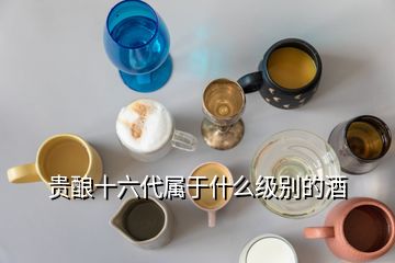 貴釀十六代屬于什么級(jí)別的酒