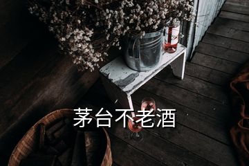 茅臺不老酒