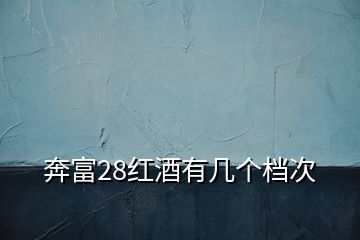 奔富28紅酒有幾個(gè)檔次