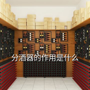 分酒器的作用是什么