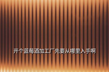 開(kāi)個(gè)藍(lán)莓酒加工廠先要從哪里入手啊