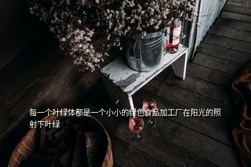 每一個(gè)葉綠體都是一個(gè)小小的綠色食品加工廠在陽光的照射下葉綠