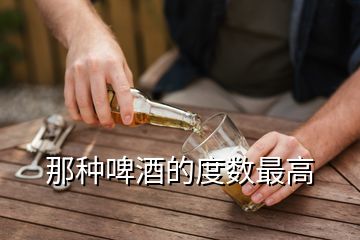 那種啤酒的度數最高