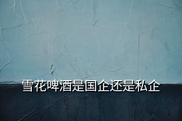 雪花啤酒是國企還是私企