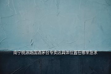 南寧桃源路國酒茅臺(tái)專賣店具體位置在哪里急求
