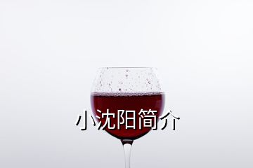 小沈陽(yáng)簡(jiǎn)介