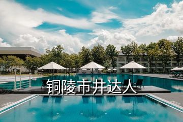 銅陵市井達人