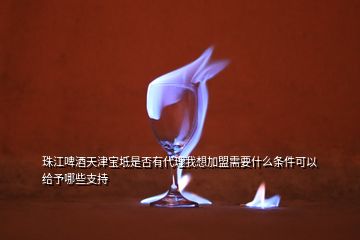 珠江啤酒天津寶坻是否有代理我想加盟需要什么條件可以給予哪些支持