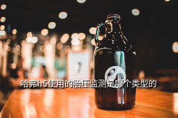 哈弗h5使用的胎壓監(jiān)測是哪個(gè)類型的