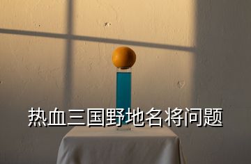 熱血三國(guó)野地名將問題