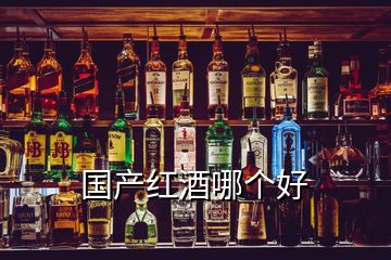 國產(chǎn)紅酒哪個好