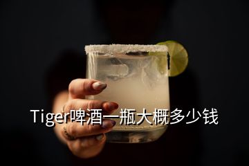 Tiger啤酒一瓶大概多少錢(qián)