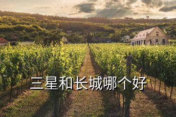 三星和長(zhǎng)城哪個(gè)好