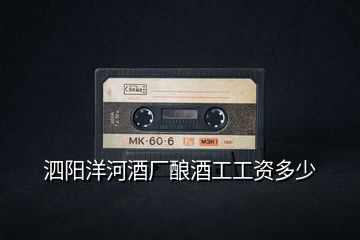 泗陽(yáng)洋河酒廠(chǎng)釀酒工工資多少