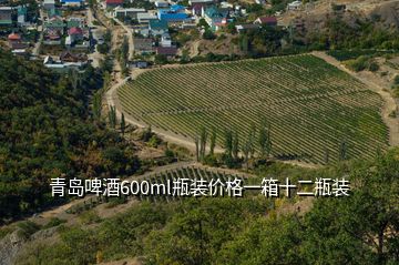 青島啤酒600ml瓶裝價格一箱十二瓶裝