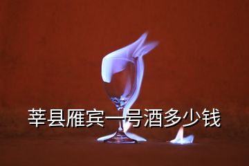 莘縣雁賓一號(hào)酒多少錢(qián)