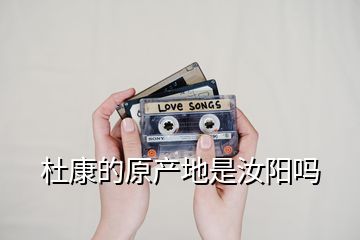 杜康的原產地是汝陽嗎
