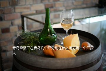 青島啤酒廠在青島幾個(gè)廠分別在什么地方哪一個(gè)廠招人