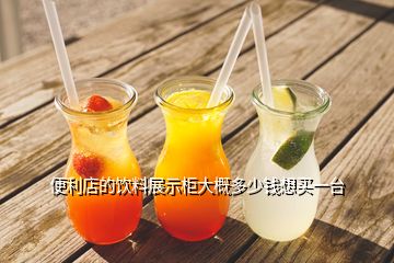 便利店的飲料展示柜大概多少錢想買一臺