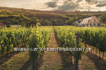 濰坊都有什么酒廠去年賣酒的不好過啊現(xiàn)在還剩下幾家