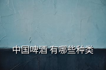 中國啤酒 有哪些種類