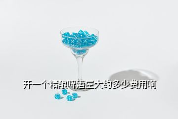 開一個(gè)精釀啤酒屋大約多少費(fèi)用啊