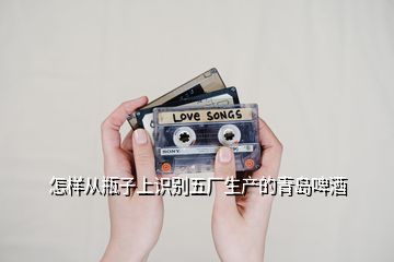 怎樣從瓶子上識別五廠生產的青島啤酒