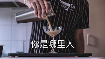 你是哪里人