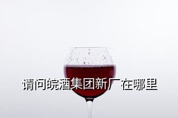 請(qǐng)問(wèn)皖酒集團(tuán)新廠在哪里