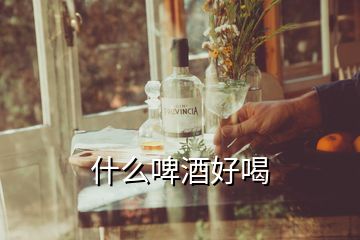 什么啤酒好喝