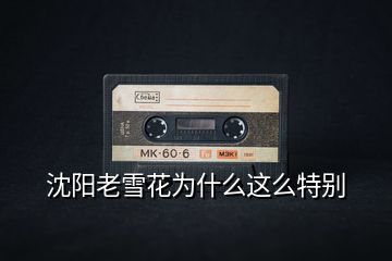 沈陽(yáng)老雪花為什么這么特別