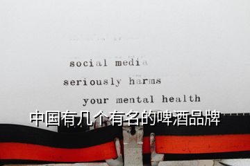 中國(guó)有幾個(gè)有名的啤酒品牌