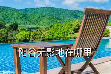 陽谷無影地在哪里