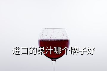 進口的果汁哪個牌子好