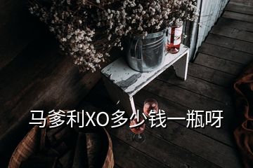 馬爹利XO多少錢(qián)一瓶呀