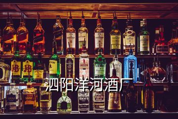 泗陽(yáng)洋河酒廠(chǎng)