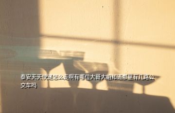 泰安天天快遞怎么走啊有哪位大哥大姐知道那里有幾路公交車(chē)嗎