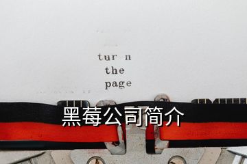 黑莓公司簡(jiǎn)介