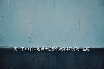 問一下XO 白蘭地 威士忌那個對身體好好喝一些呢