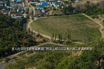 本人在深圳寶安金威脾酒廠附近上班三口之家小孩二歲請問附近